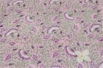 Pale Pink Floral Handblock Printed 100% Pure Soft Cotton Fabric - Image 2