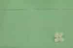 Pastel Green Handwoven Mangalgiri 100% Pure Cotton Fabric - Image 2
