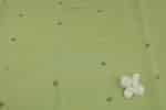 Yellowish Green Woven Design Flowy HandLoom Pure Soft Cotton Fabric - Image 2
