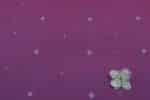 Rouge Purple Woven Design Flowy HandLoom Pure Soft Cotton Fabric - Image 2