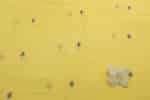 Golen Yellow Woven Design Flowy HandLoom Pure Soft Cotton Fabric - Image 2