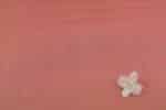 Two-Tone Pinkish Orange Handwoven Zari Border Pure Cotton Fabric - Image 2