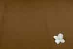 Brown - Plain Dyed 100% Soft Cotton Fabric - Image 2