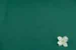 Green - Plain Dyed 100% Soft Cotton Fabric - Image 2