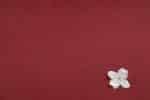 Red - Plain Dyed 100% Soft Cotton Fabric - Image 2