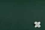 Green - Authentic HandLoom Flowy Soft Cotton Fabric - Image 2