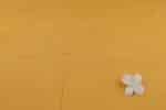 Orange - Authentic Mangalgiri Handwoven Pure Cotton Fabric - Image 2