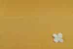 Yellow - Authentic Mangalgiri Handwoven Pure Cotton Fabric - Image 2