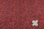 Red - Ajrakh Pure Soft Cotton HandCrafted Fabric - Image 2