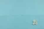 Pastel Blue Handwoven Mangalgiri 100% Pure Cotton Fabric - Image 2