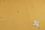 Daisy Yellow Handloom Intricate Border Flowy HandLoom Pure Soft Cotton Fabric - Image 2