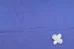 Blue Flowy HandLoom Pure Soft Cotton Fabric - Image 2