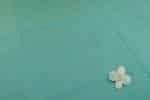 Tiffany Blue  Handwoven Zari Border Pure Cotton Fabric - Image 2