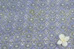 Eco Friendly Dyes