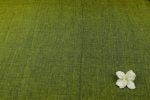Olive Green Handloom Flowy Soft Cotton Fabric - Image 4